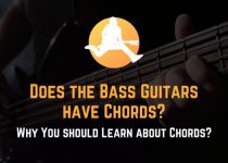 do bass guitars have chords