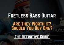fretless bass guitar