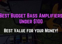 best bass amp under 100