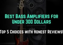 best bass amp under 300